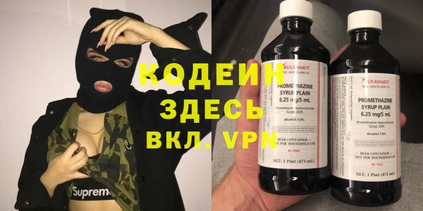 стафф Арсеньев