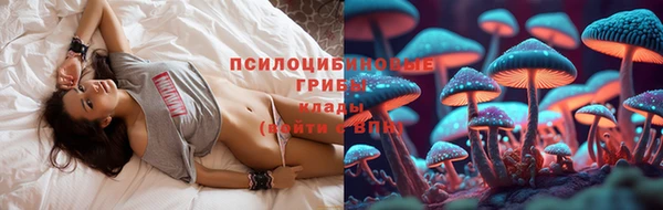 стафф Арсеньев