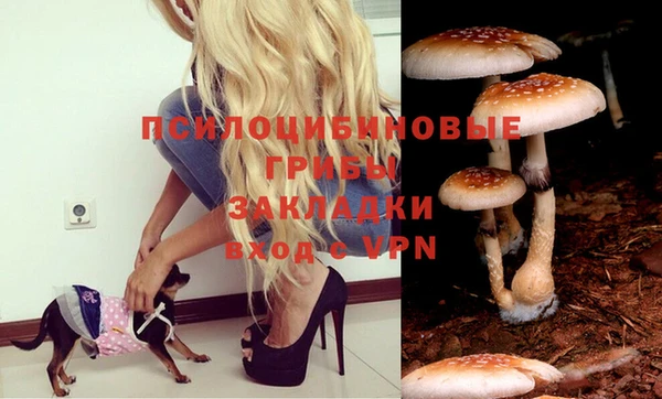 марки nbome Армянск