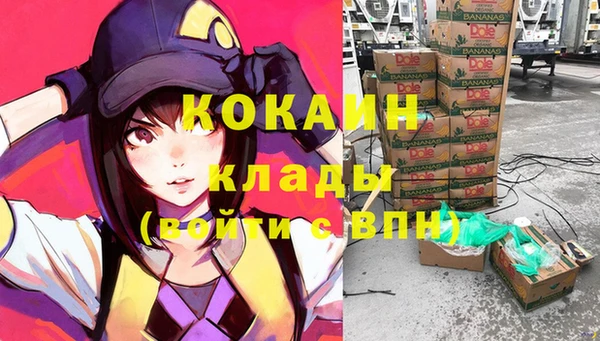 стафф Арсеньев