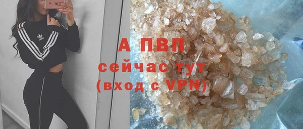 стафф Арсеньев