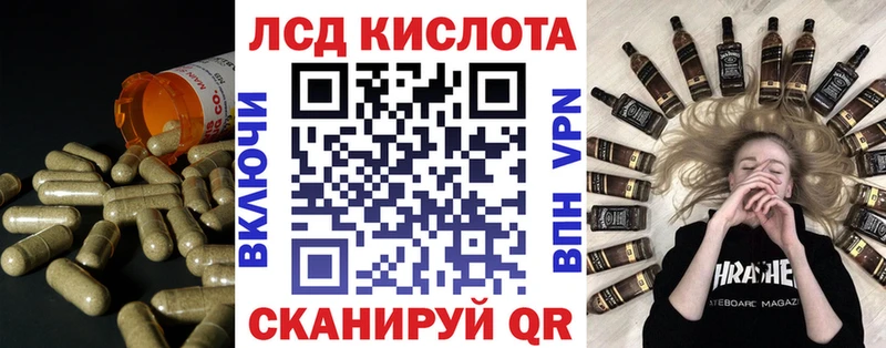 магазин продажи   Грайворон  кракен зеркало  сайты даркнета какой сайт  LSD-25 экстази кислота 