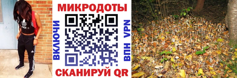 Галлюциногенные грибы Magic Shrooms  Грайворон 